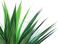 Wholesale 100cm 47 Leaves Plastic Green Bonsai Plant Artificial Succulent Faux Yucca Plant Agave Sisal For Home & Garden Decor