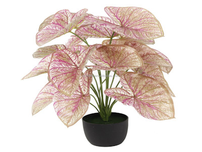 2ft 60cm Tall Small Mini Cheap Faux Evergreen Bonsai Tree Artificial Calathea Indoor Houseplant For Home Desk Tabletop Decor