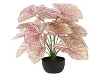 2ft 60cm Tall Small Mini Cheap Faux Evergreen Bonsai Tree Artificial Calathea Indoor Houseplant For Home Desk Tabletop Decor